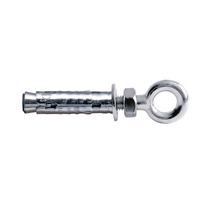 Inkarinis varžtas su kilpa G&B Fissaggi TNTRC06, 10x45 mm, 50 vnt.