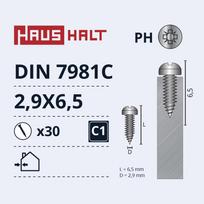 Savisriegis Haushalt DIN7981C, 2.9 mm x 6.5 mm, 30 vnt.