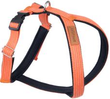 Petnešos šunims Amiplay Cotton Grand Soft, oranžinė sp., 340 - 430 mm, 34-43