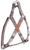 Petnešos šunims Amiplay London, ruda sp., 400 - 750 mm x 20 mm, 40-75