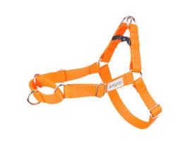 Petnešos šunims Amiplay Samba, oranžinė sp., 300 - 400 mm x 15 mm, 30-40