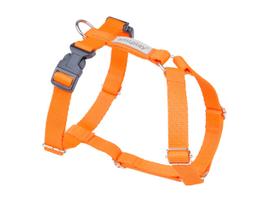 Petnešos šunims Amiplay Samba, oranžinė sp., 260 - 350 mm x 15 mm, 26-35