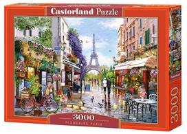 Dėlionė Castorland Flowering Paris 3000 el. C-300525, 3000 vnt.