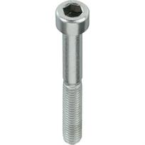 Varžtas DIN 912 Haushalt, 8 mm x 60 mm, 100 vnt.