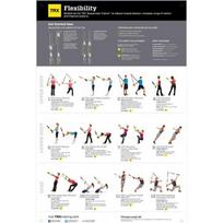 Kūno lankstumo treniruočių plakatas TRX Poster V2 All Body Flexibility, 86 cm