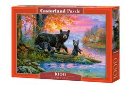 Dėlionė Castorland Fishing Spot Bears 1000 el. C-104727-2, 47 cm x 68 cm, 1000 vnt., įvairių spalvų