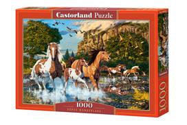 Dėlionė Castorland Horse Wonderland 1000 el. C-104789-2, 47 cm x 68 cm, 100 vnt., įvairių spalvų