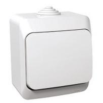 Mygtukinis jungiklis Schneider Electric Cedar Plus, 1 kl., balta sp.