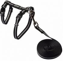 Kačių petnešos su pavadėliu Rogz Alleycat CLJ16A, 180 cm x 10 mm, juoda sp.