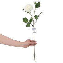 Dirbtinė gėlė, bijūnas AmeliaHome Piwoni White, balta sp./žalia sp., 62 cm x 4.2 cm
