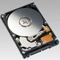 Kietasis diskas (HDD) CoreParts AHDD036, 2.5", 320GB