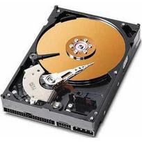 Kietasis diskas (HDD) CoreParts AHDD008, 3.5", 250GB
