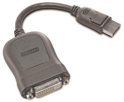 Adapteris Lenovo DisplayPort - DVI-D 45R5783 Displayport, DVI-D, juoda sp.