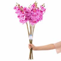 Dirbtinė gėlė, orchidėja AmeliaHome Faleni, violetinė sp., 76 cm