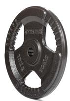 Diskinis svoris Gymstick Iron x 10 kg