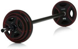 Svorių ir grifų rinkinys Gymstick 61057PU, 20 kg