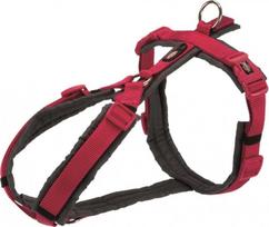 Petnešos šunims Trixie Premium, pilka sp./purpurinė (magenta) sp., 800 - 970 mm x 25 mm, XL