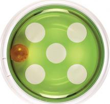Strateginis žaidimas katėms Catit Senses 2.0 Ball Dome CH-1443, žalia sp., 24 cm