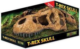 Akvariumo dekoracija Exo Terra T-Rex Skull, ruda sp., 22 cm
