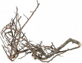 Akvariumo dekoracija Terra Natura Japanese Root 42040, juoda sp., 15 cm