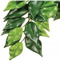 Akvariumo dekoracija Exo Terra Ficus 007287, žalia sp., 41 cm