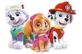 Sieninis lipdukas Nickelodeon Paw Patrol, įvairių spalvų
