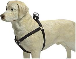 Petnešos šunims Beeztees Harness, juoda sp., 600 - 1000 mm x 25 mm, 60-100 x 2.5 cm