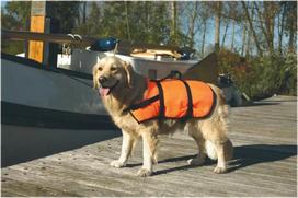 Liemenė šuniui Beeztees, oranžinė sp., M