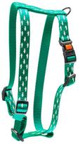 Petnešos šunims Karlie Art Sportiv Plus Shark, žalia sp., 450 - 700 mm x 20 mm, M