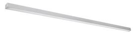 Šviestuvas lubų ir sienų Thoro Lighting Pinne 200 TH.239, LED, 4000 °K, 1 x 50 W, pilka sp.