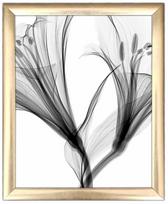 Foto paveikslas Wallity ACT-036, 23.5 cm x 28.5 cm