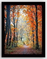 Foto paveikslas Wallity SC0033, 41 cm x 56 cm