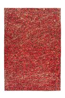 Kilimas vidaus Arte Espina Finish 100, aukso sp./raudona sp., 230 cm x 160 cm