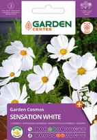 Sėklos Garden Center kosmėja SENSATION WHITE, 1 g