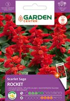 Sėklos Garden Center šalavijas ROCKET, 0.4 g