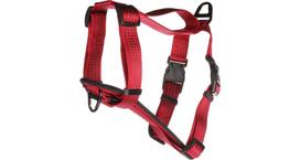 Petnešos šunims Flamingo Zorba, raudona sp., 550 - 750 mm x 32 mm, M