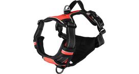 Petnešos šunims Flamingo Balou, raudona sp., 500 - 650 mm x 25 mm, M