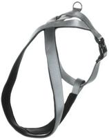 Petnešos šunims Flamingo Cross Abbi, pilka sp., 840 - 1200 mm x 32 mm, XXXL
