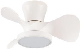 Lubinis ventiliatorius su lempa CristalRecord Moll CCT, 20 W, 1 vnt.