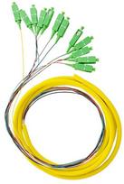 Kabelis Qoltec Optic Pigtail Fiber Singlemode, SC/APC x 12, 2 m, geltona sp.