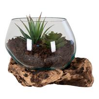 Dekoracija, "gėlių vazonas" House Nordic San Marino Waterdrop 4501055, skaidri sp./ruda sp., 15 cm x 15 cm x 15 cm, 1.5 kg