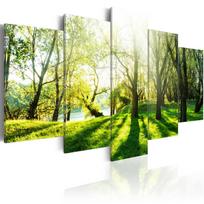 Akrilo stiklo reprodukcija Artgeist Green Glade, 200 cm x 100 cm