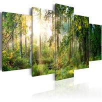 Akrilo stiklo reprodukcija Artgeist Green Sanctuary, 100 cm x 50 cm