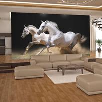 Fototapetas Artgeist Galloping Horses On The Sand 4XLFTNT1017SAM, 309 cm x 392 cm
