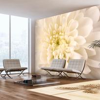 Fototapetas Artgeist White Dahlia XLFTNT1348SAM, 193 cm x 245 cm