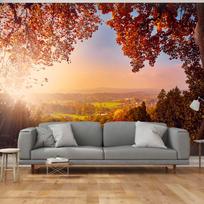 Fototapetas Artgeist Autumn Delight - Sunny Landscape With Countryside Surrounded By Trees And Fields, 140 cm x 196 cm
