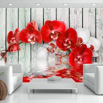 Fototapetas Artgeist Ruby Orchid, 210 cm x 300 cm