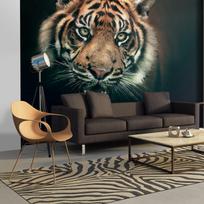 Fototapetas Artgeist Bengal Tiger XLFTNT0741SAM, 193 cm x 245 cm