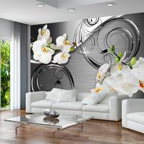 Fototapetas Artgeist Expectation NEW010866SAM, 245 cm x 343 cm