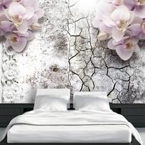 Fototapetas Artgeist Bright Red Orchids XXLNEW011327SAM, 210 cm x 294 cm